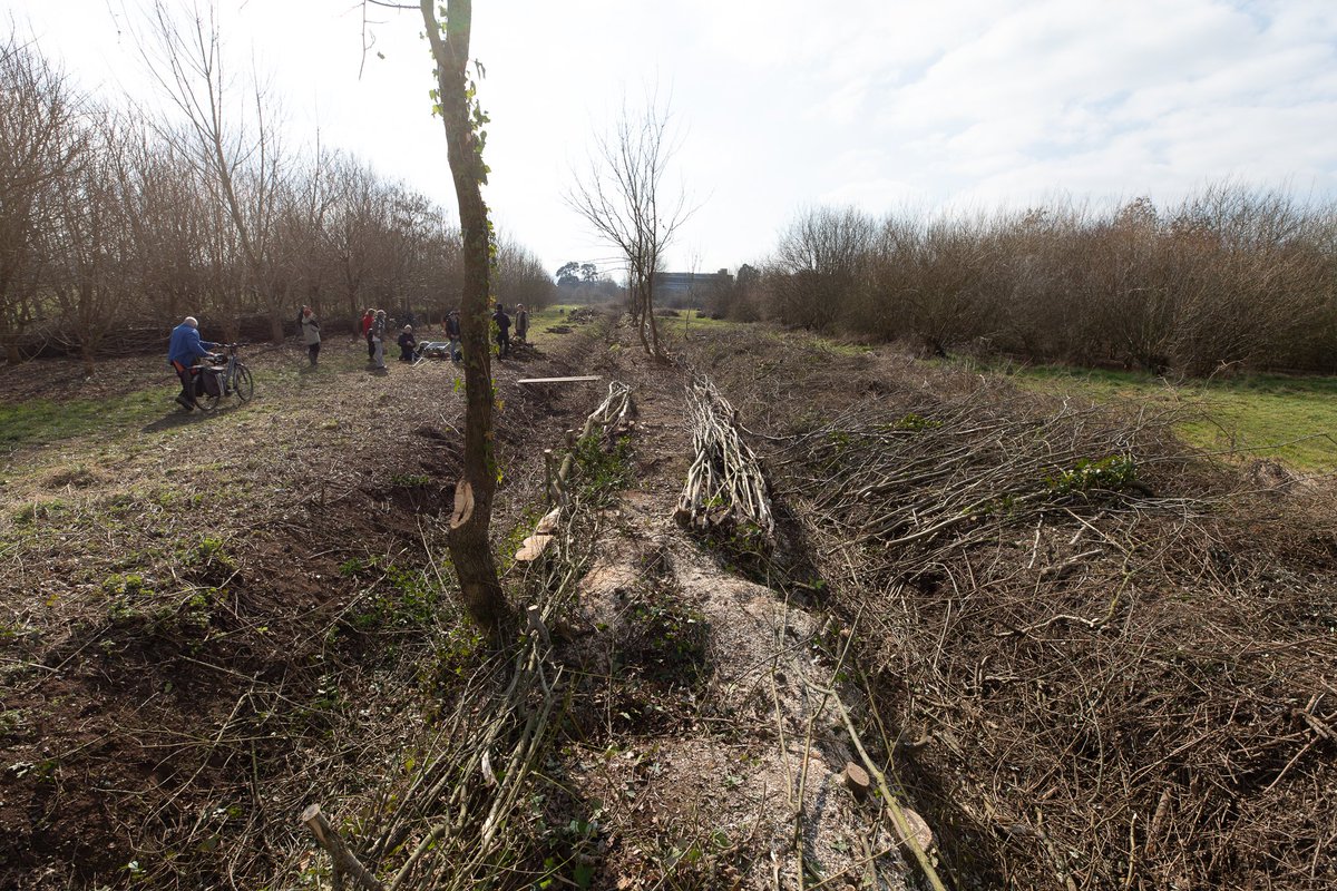 Longrun Meadow tweet media