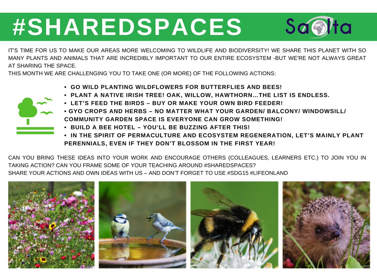 Welcome back to the 
<a href="/SDGchallenge/">#SDGchallenge</a>

This month we will focus on #SDG15 – check out our updated infopack at: developmentperspectives.ie/SDGChallenge/I…

Take this month's challenge- #SharedSpaces &amp; share your insights. 

#Saolta #LifeOnLand #GlobalGoals #SDGsIrl