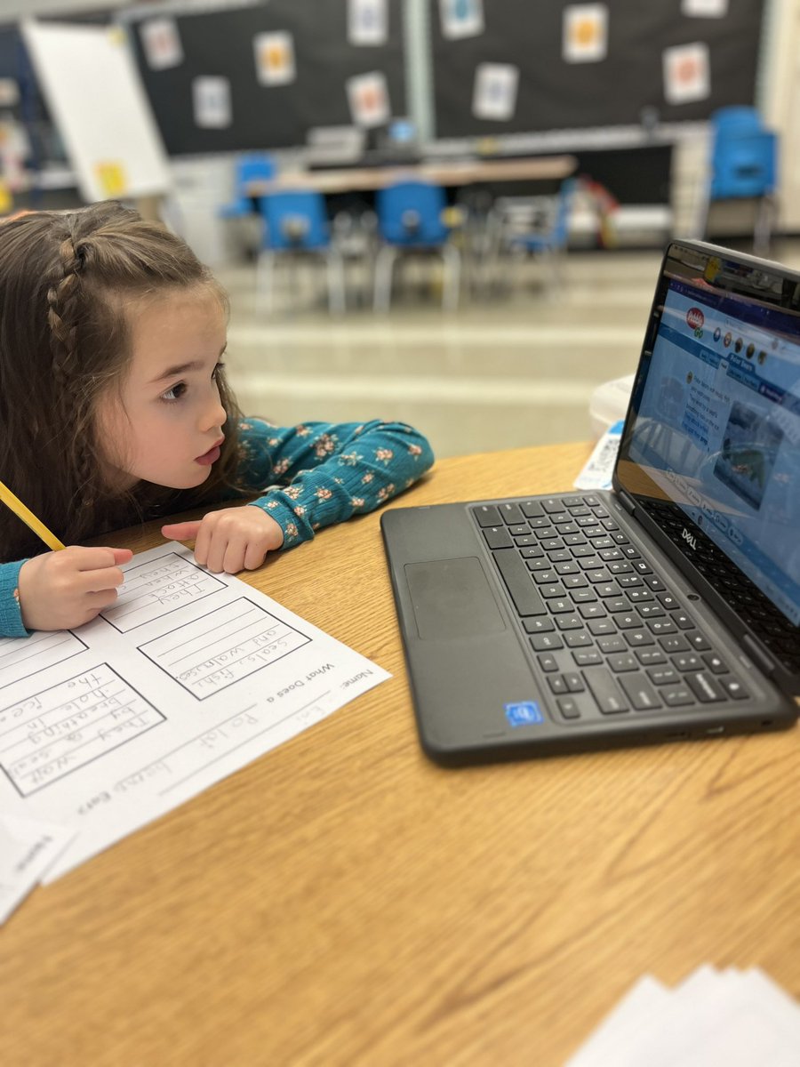 Allyson Mooney tweet media