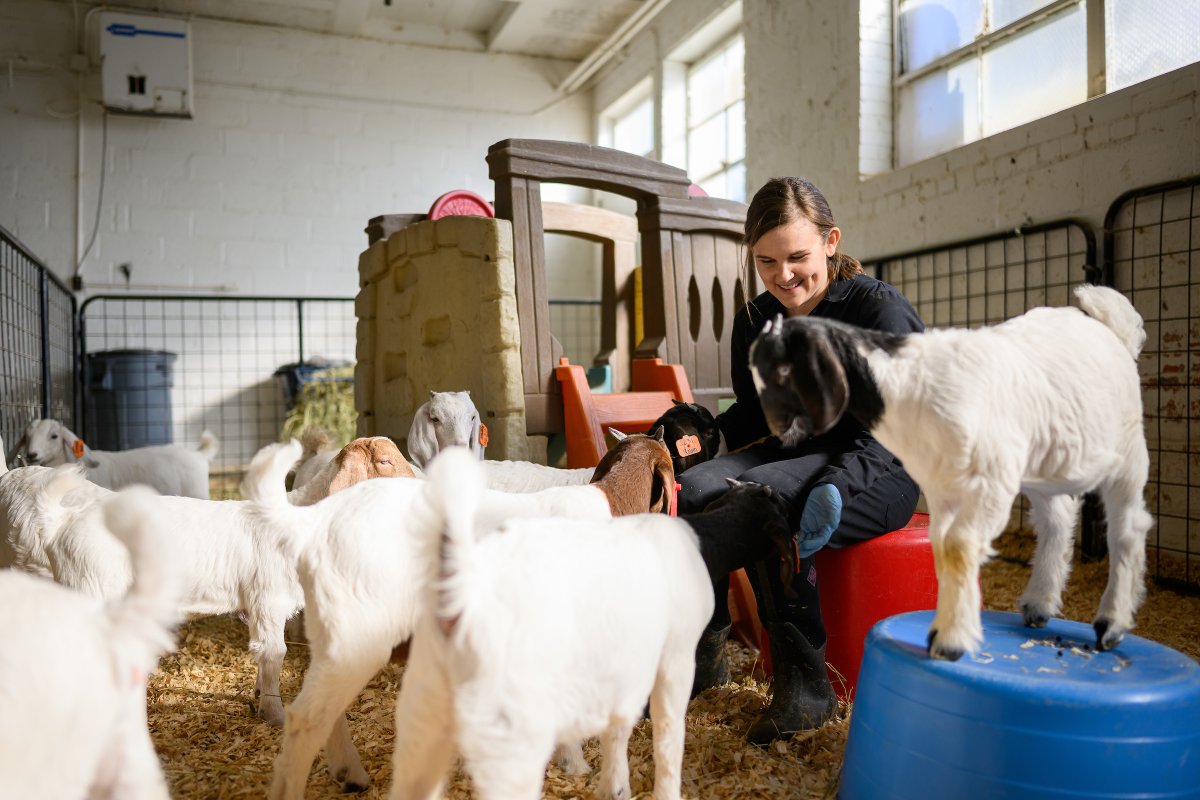 NC State Vet Medicine on Twitter "'THIS PLACE IS AMAZING.' Dr