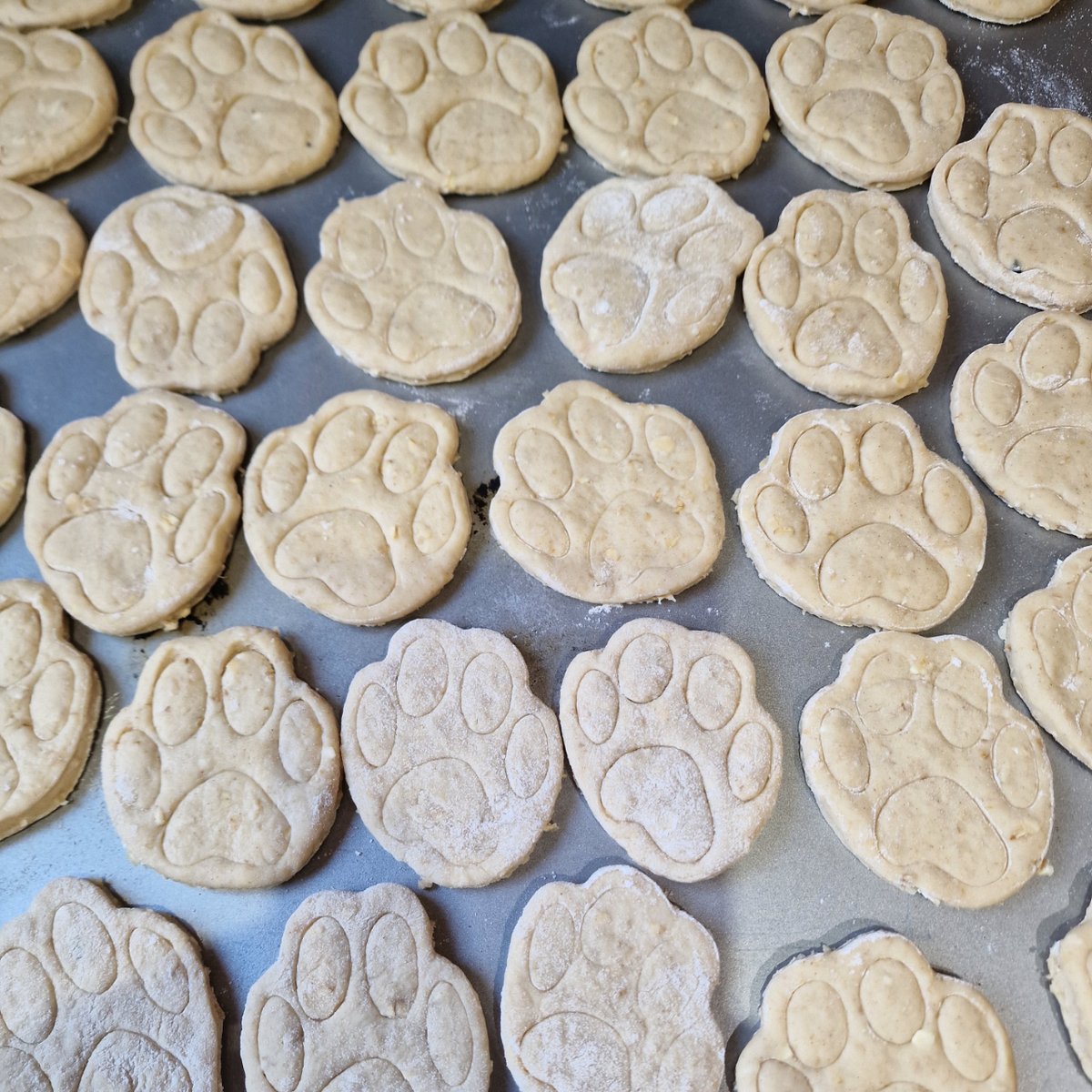 HilltopKennels's tweet photo. Paperwork is piling up & VAT needs doing. Obviously it's the perfect time to make Pawsome dog bikkies instead! Grab them from our Reception before they run out!
Flour, oats, peanut butter, salmon oil & honey. Taste tested by Rufus & Baz.
#dogsofinstagramuk #dogtreats #homemade https://t.co/b4U8NGWtcp