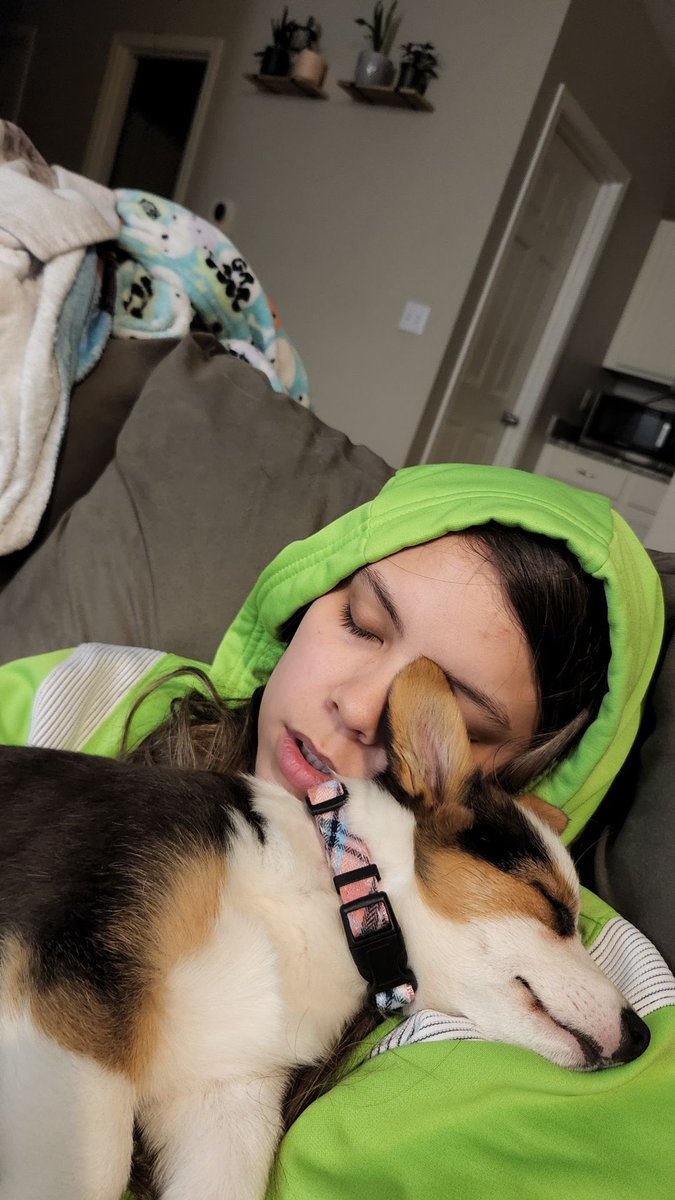raveeliv's tweet photo. My dream finally came true. I have a corgi. Everyone meet zelda 😍 https://t.co/AdSiW7ZEQv