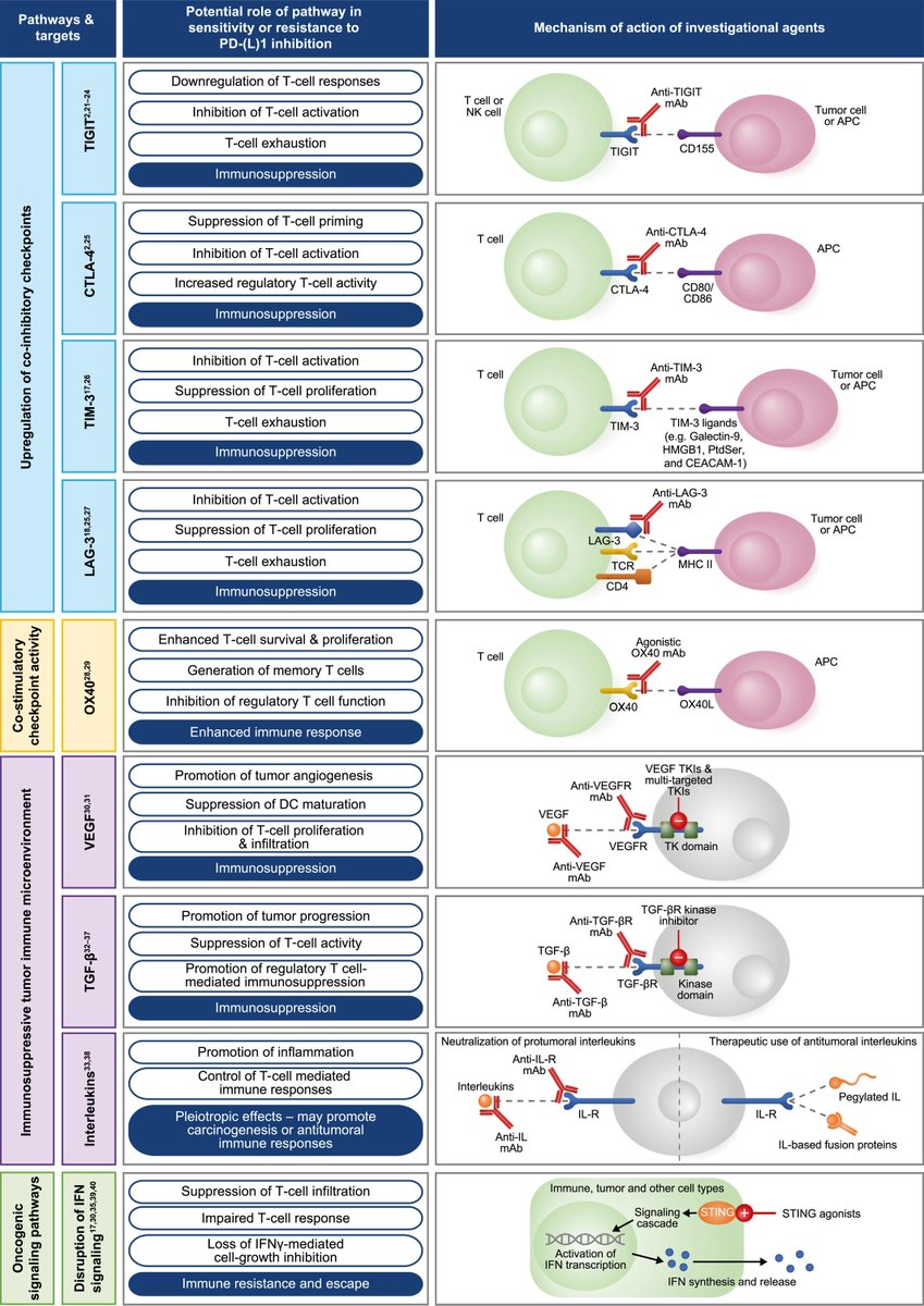 ACS Journal Cancer (@journalcancer) on Twitter photo New review from <a href="/LealTiciana/">Ticiana Batista (Leal)</a> et al | Emerging therapeutic strategies for enhancing sensitivity and countering resistance to programmed cell death protein 1 or programmed death-ligand 1 inhibitors in non–small cell lung cancer
🔗 acsjournals.onlinelibrary.wiley.com/doi/10.1002/cn…
<a href="/OncoAlert/">OncoAlert</a>
#LCSM New review from <a href="/LealTiciana/">Ticiana Batista (Leal)</a> et al | Emerging therapeutic strategies for enhancing sensitivity and countering resistance to programmed cell death protein 1 or programmed death-ligand 1 inhibitors in non–small cell lung cancer
🔗 acsjournals.onlinelibrary.wiley.com/doi/10.1002/cn…
<a href="/OncoAlert/">OncoAlert</a>
#LCSM