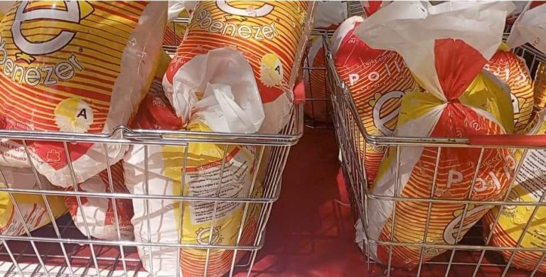 DianaIndustrias's tweet photo. #2Ma| #DianaInforma
Feria del Campo Soberano abasteció Bases de Misiones Victoria Zamorana y Simón Rodríguez en Biruaca
Leer más ⬇️⬇️⬇️
https://t.co/KuD8BFZyVT
#ProducirEsIndependencia https://t.co/N4ev2pnNX1