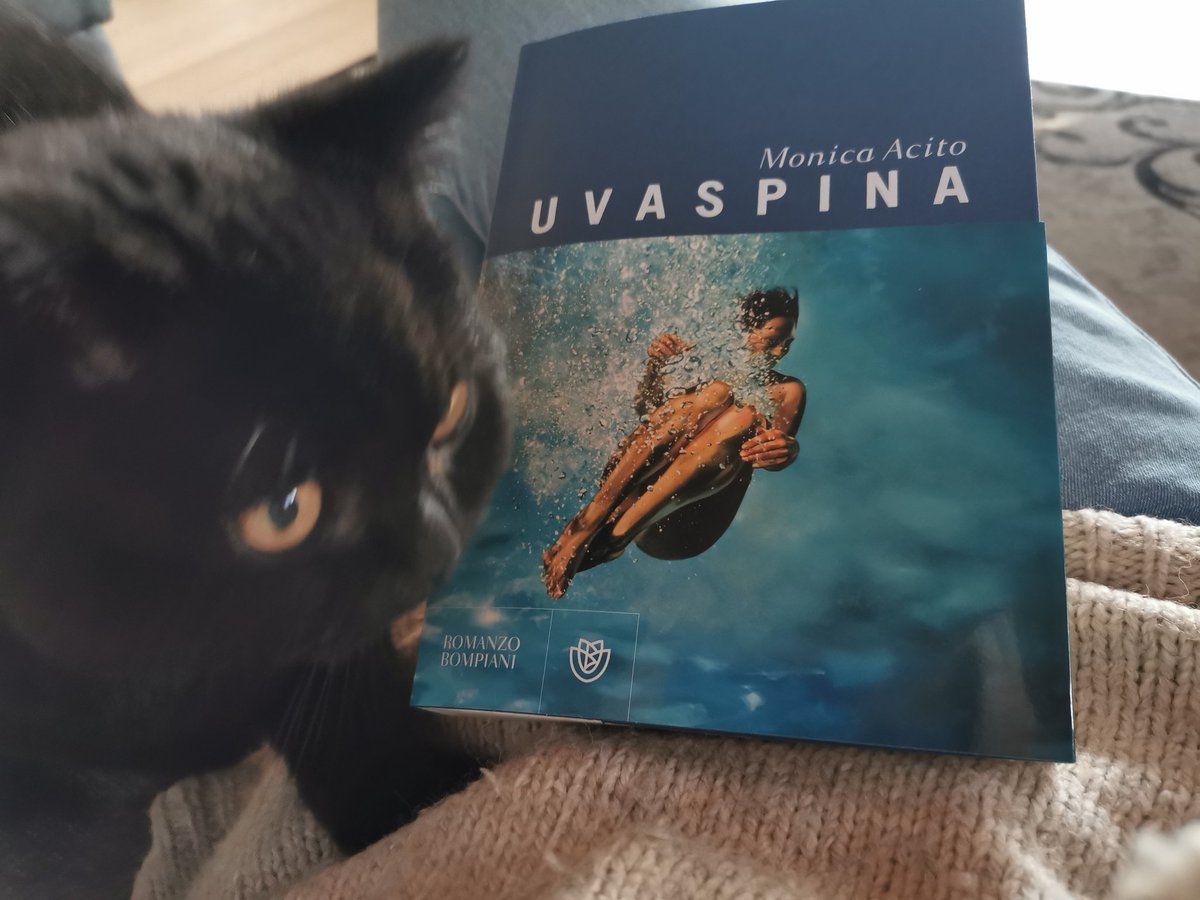 __LaSamu__'s tweet photo. Passo ad un esordio su cui ho grandi aspettative.
(sempre che il signorino mi lasci leggere)
#libri
#libriegatti https://t.co/lKUJiloGv0