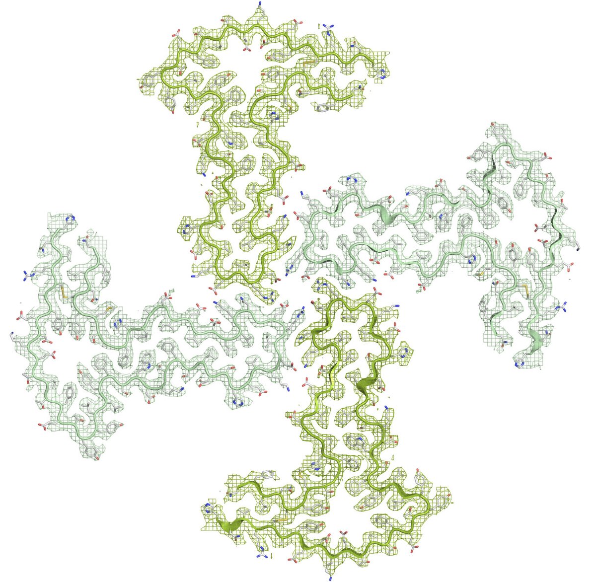 It's lovely to finally see this beautiful work from @milkowilko <a href="/R_U_Gallardo/">Rodrigo Gallardo</a> and friends on β2m amyloid out today in <a href="/NatureComms/">Nature Communications</a> #AmyloidLego <a href="/AstburyCentre/">Understanding Life in Molecular Detail</a> @Astbury_BSL <a href="/RadfordLab/">RadfordLab</a> <a href="/wellcometrust/">Wellcome</a> <a href="/The_MRC/">Medical Research Council</a> 
#OpenAccess at rdcu.be/c6JU7