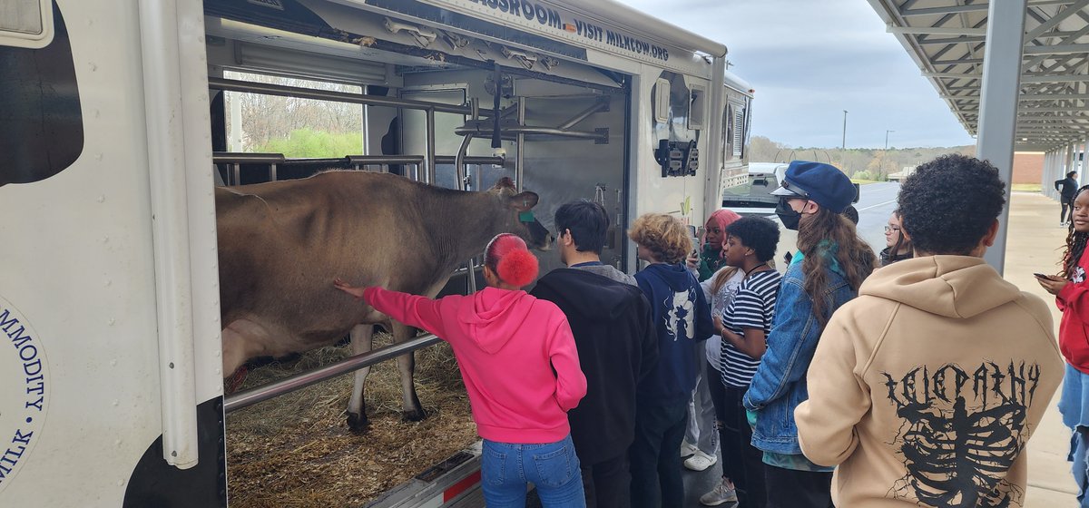 Mrs. Meredith Beck tweet media