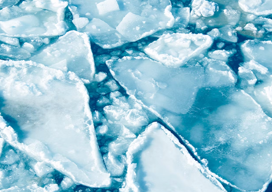 In the vast, bleak, windswept surface of our planet’s polar seas, buried within drifting slabs of sea ice, life is unexpectedly plentiful. Bacteria, fungi, algae, and viruses thrive in -30 degree ice, underpinning life and climate cycles: nautil.us/the-secret-lif… in <a href="/NautilusMag/">Nautilus Magazine</a>