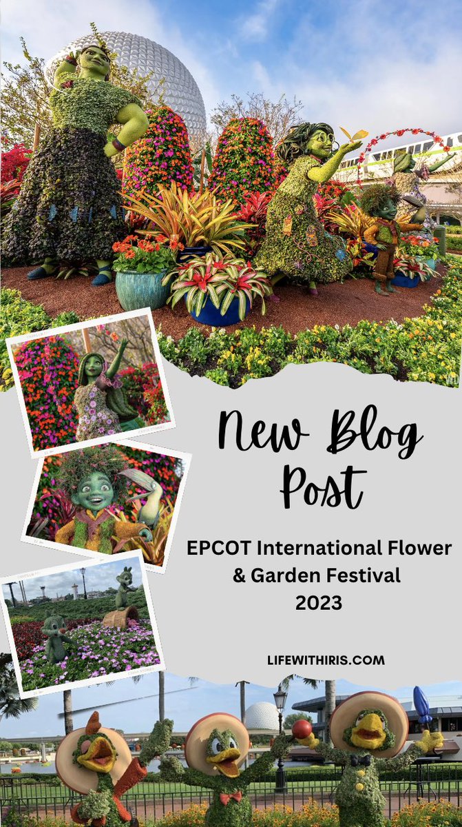Calling all flower lovers … <a href="/WaltDisneyWorld/">Walt Disney World</a> Epcot International flower, and garden festival has begun! bit.ly/3YgseYy
#DisneyWorld50 <a href="/DisneyParks/">Disney Parks</a>