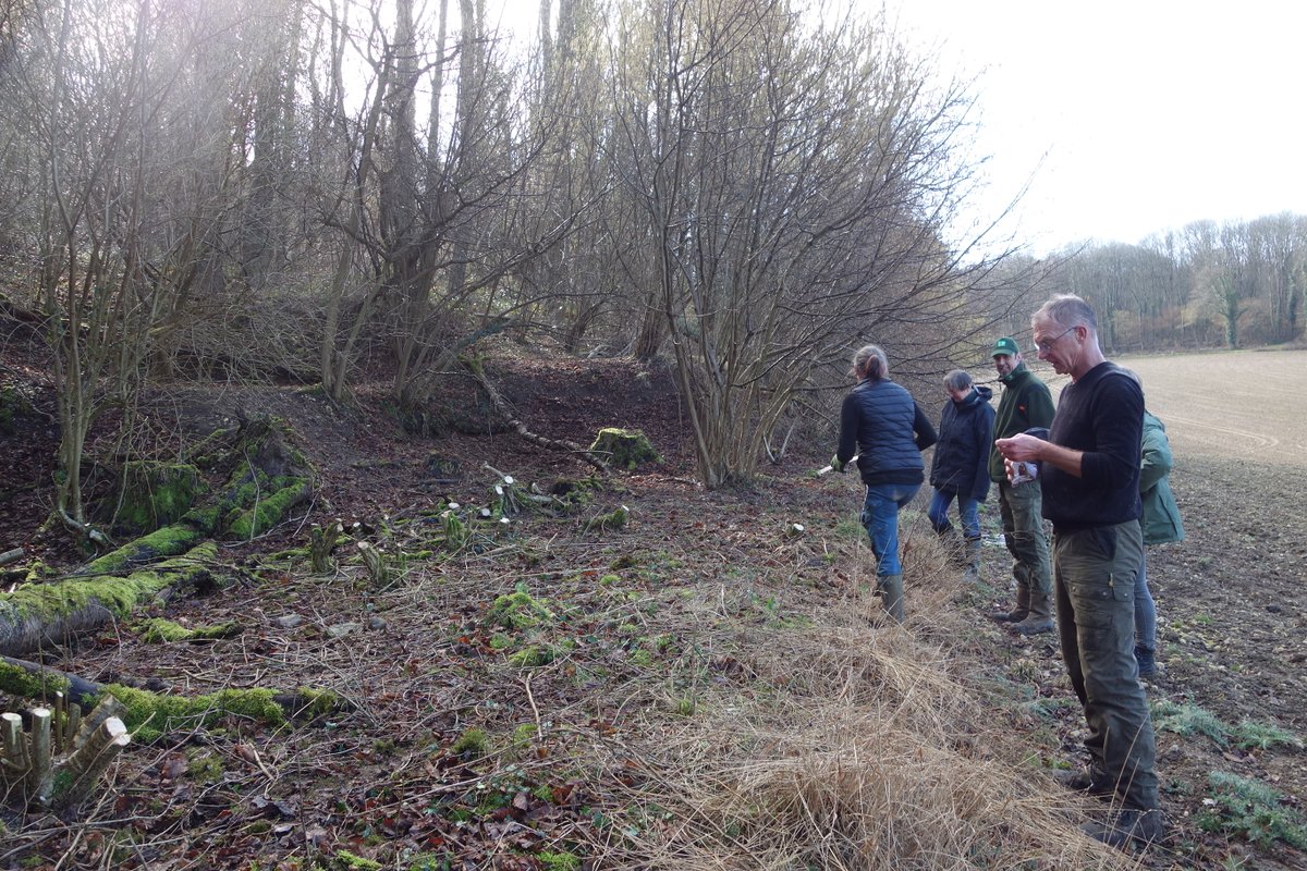 Op zaterdag 25 februari jl. heeft de <a href="/Zoogdierverenig/">Zoogdiervereniging</a> i.s.m. <a href="/staatsbosbeheer/">Staatsbosbeheer</a>  een werkdag voor de Hazelmuis georganiseerd. Aan een bosrand in de omgeving van 't Vijlenerbos hebben we takken weggezaagd om meer openheid en variatie te creëren.