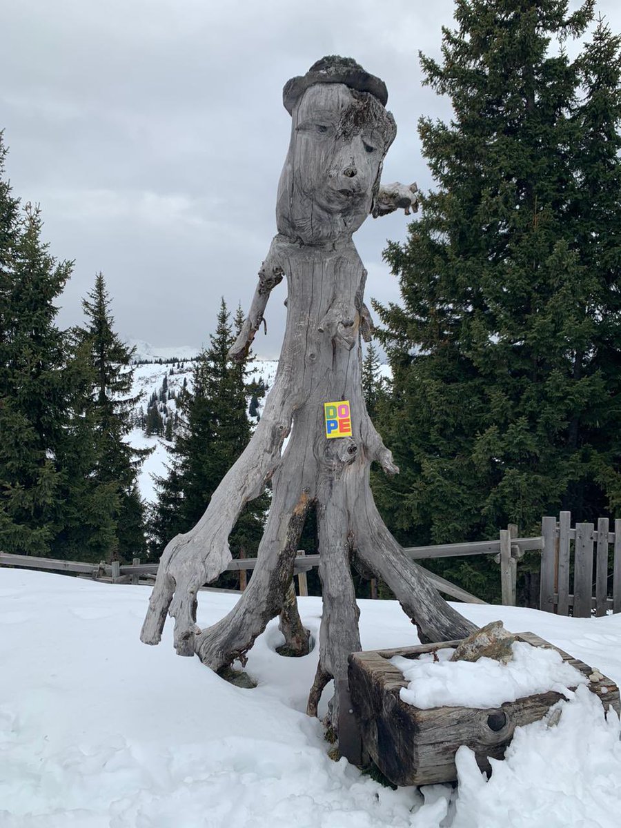 Check out DOPE, chilling on the cock of some tree creature #dope #dopewev #bookstagram #books #idiot #funnybooks #stupid #foryoupage #adulthumour #adulthumordaily