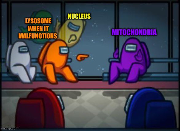 Nucleus the brains 🧠 tweet media