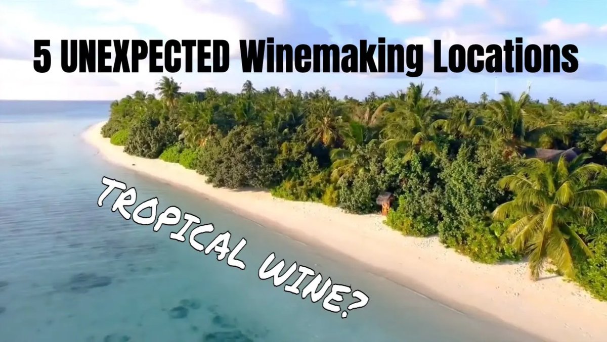 The world's 5 weirdest winemaking locations... They make wine in #Tahiti!? Find out... New Video❤🍷📽 👉 youtu.be/-fRBIFJpbDQ With @BonnerPWP