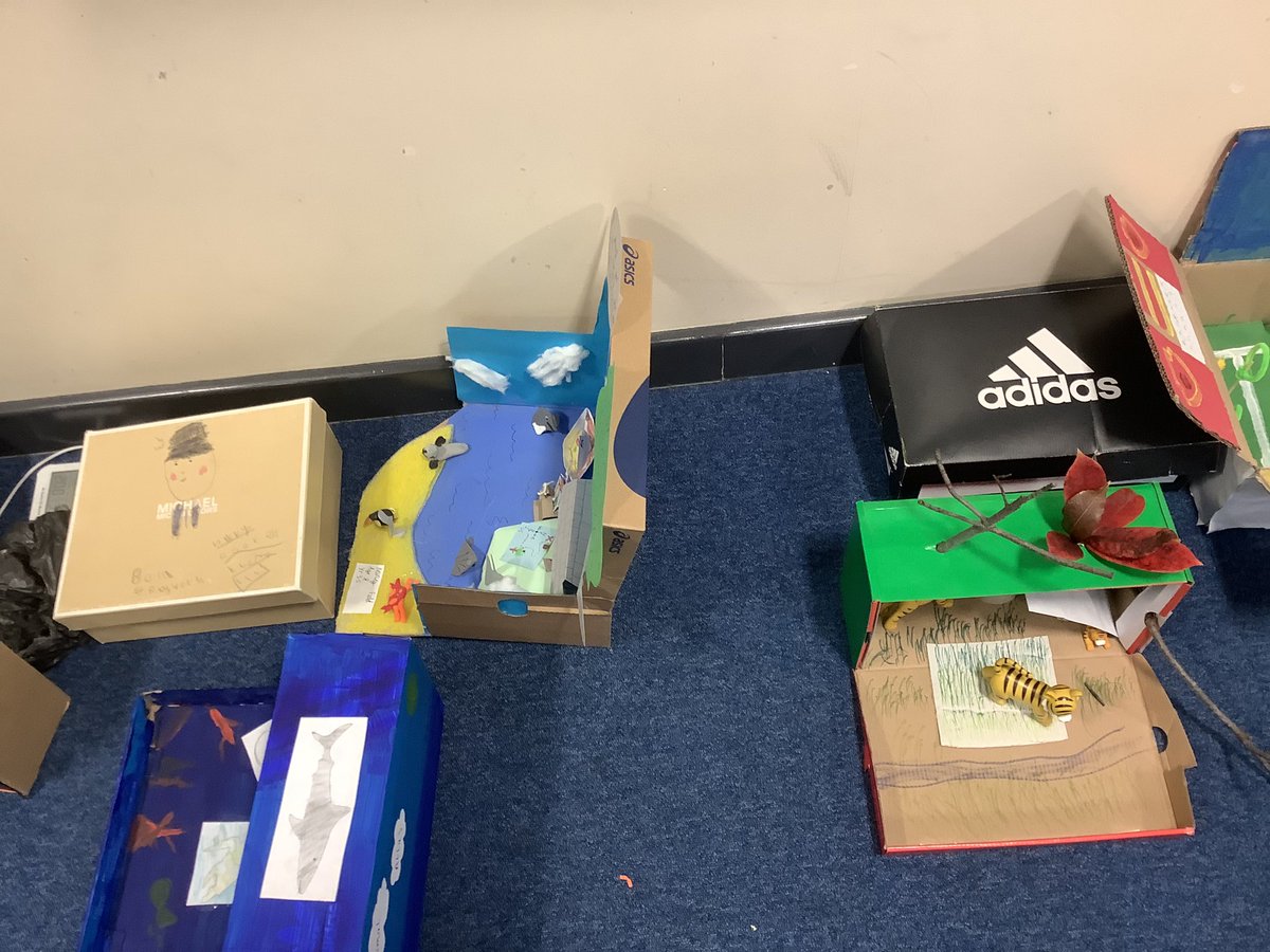 Mr Sharp KWP tweet media