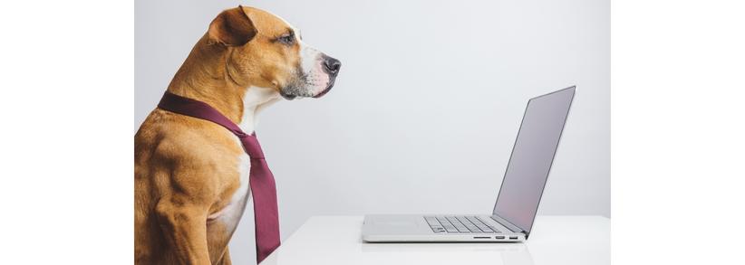 MRI_Publicity's tweet image. Your website may not be attracting as much traffic as it could.     #MarketingStrategy #Website #WebsiteReview bit.ly/3XYfTsp