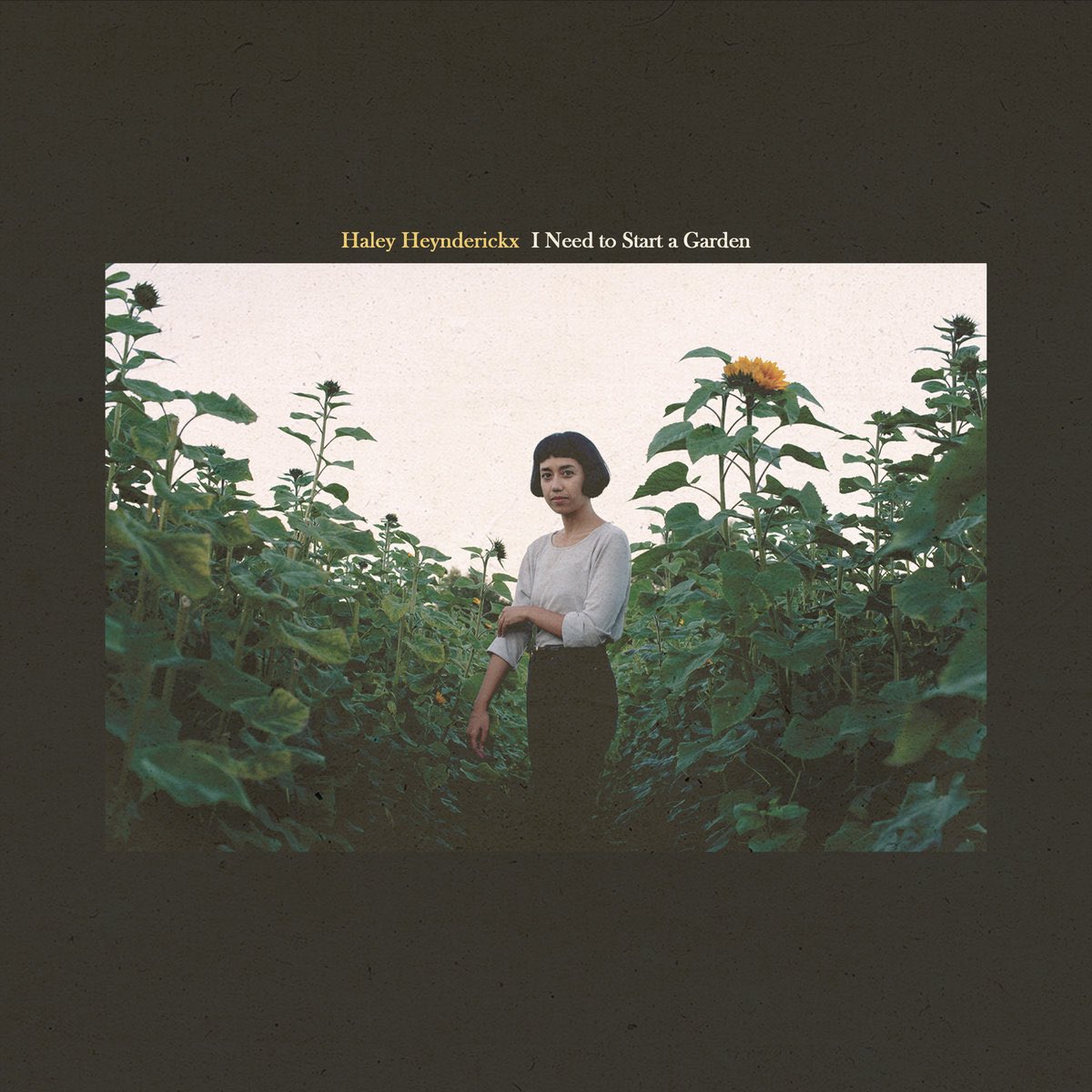 spangled_mica's tweet photo. happy fifth birthday to this hauntingly beautiful, poetic folk/rock masterpiece 🌻 https://t.co/4VCEOrm0jU