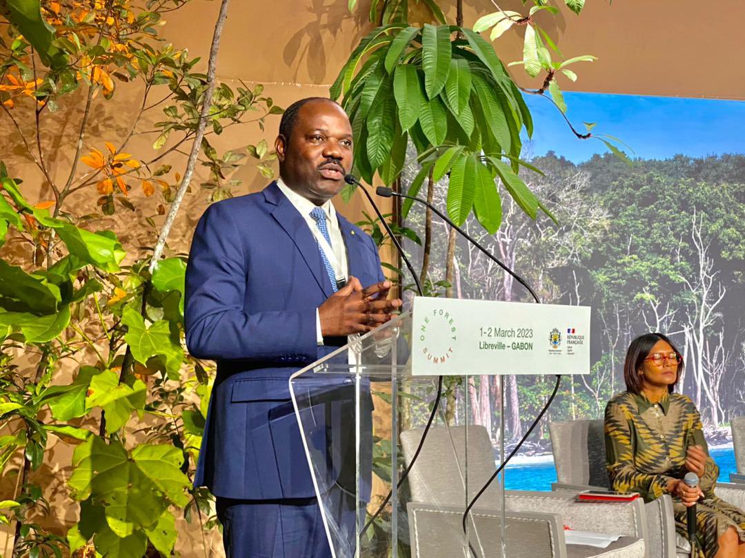 Promotion & Investissements Gabon tweet media