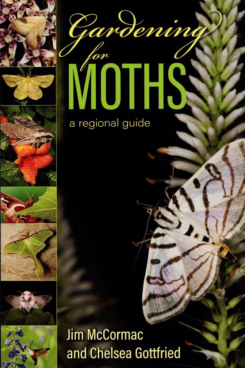 Jim McCormac tweet media