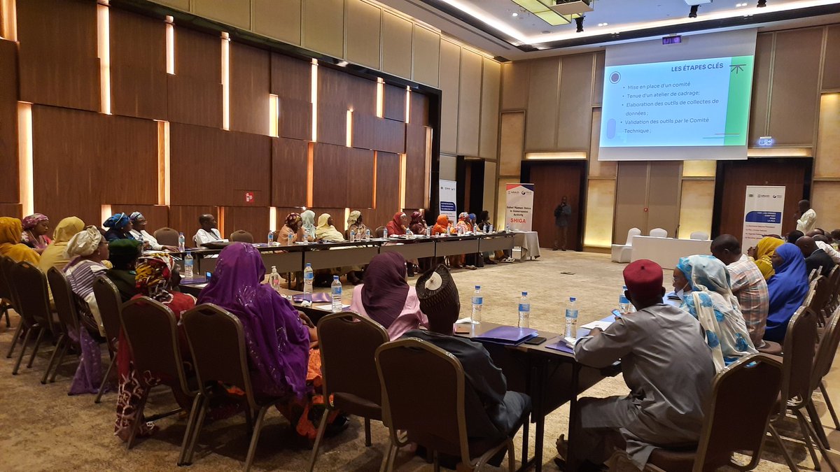 Installation officielle ce 2 mars 2023 du Comité National de Pilotage du Plan d'Action National de l'Agenda "Femmes-Paix-Sécurité, avec l'appui du Projet SHIGA-USAID
#FemmesPaixEtSécurité