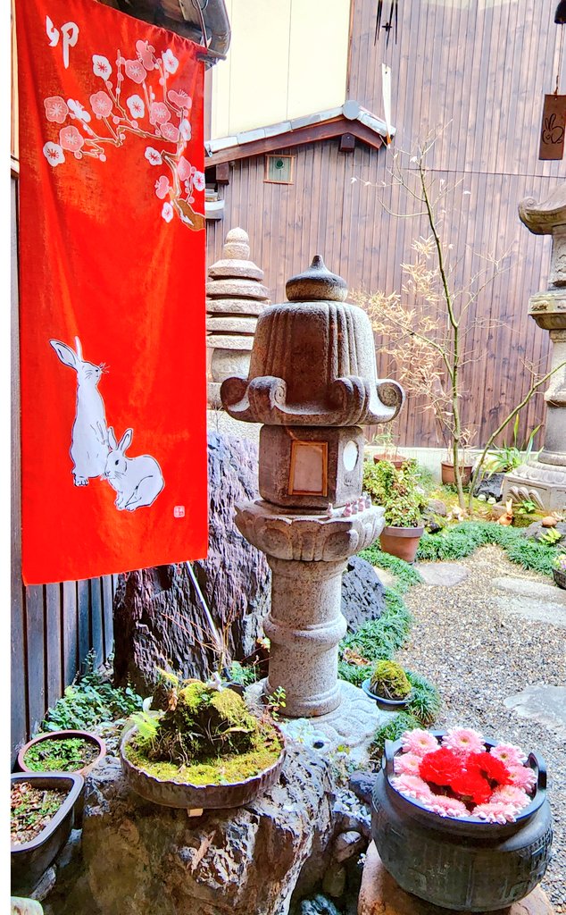 京都2日目
朝ごはんは「ろじうさぎ」
２回目だけど同じメニュー
豆乳湯葉がゆの御膳
きれいな卵焼きやおかず全部美味しい💕
お庭の花水木やひな飾りもかわいい
また行きたいな