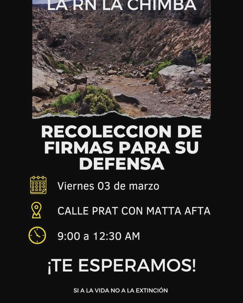 Distrito_Coloso's tweet photo. *Por si andan por el centro mañana viernes de 0900 a 1200 hrs en Prat con Matta* ☘️⚜️💪
#Antofagasta https://t.co/S8jART9KiS