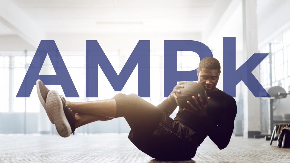 BLS_Ingredients's tweet photo. Give your formula the energy edge. New research shows low doses of Bioenergy Ribose can activate AMPk, even without exercise. #innovation #RiaGev #Ribose #inthenews #businessnews 

https://t.co/SG4OMyVBIj metabolism with AMPk/ https://t.co/Q0NkZsPrjD