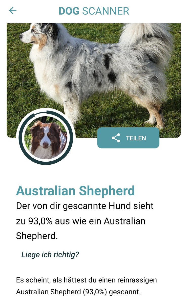Inspiriert von @jadekompendium hat Mami mich auch gescannt. Sie sagt die restlichen 7% sind Faultier und Teddybär. Pff, Pfaultier, nur weil ich so gerne schlafe! Frechheit! Ich ruhe mich nur vom Kontrollieren aus.