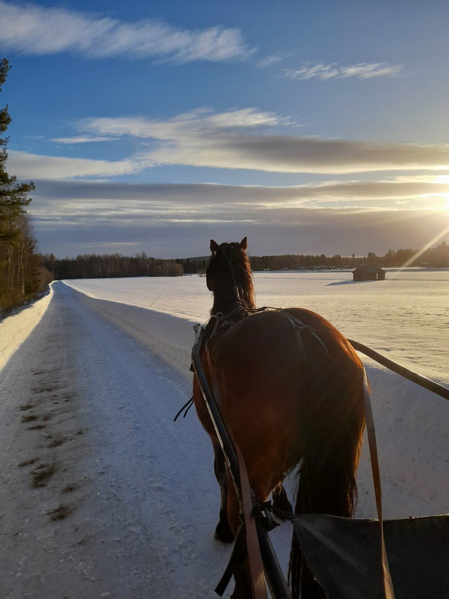 Vilken härlig dag ☃️