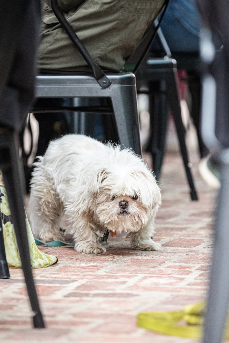 CM_Austin's tweet image. When we say, "Everyone is welcome", we mean it. #CMATX #CMtouch