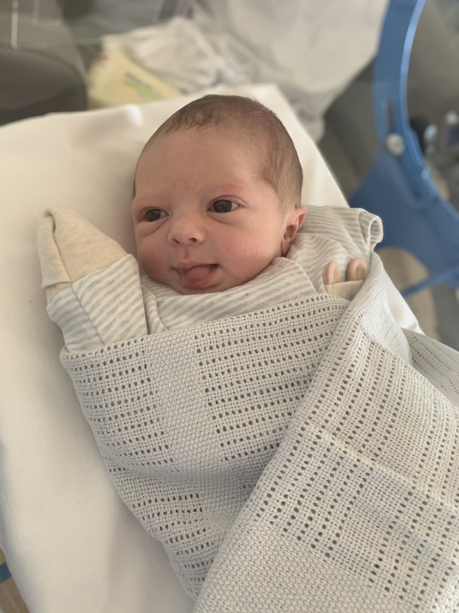 Harry Grimshaw tweet media