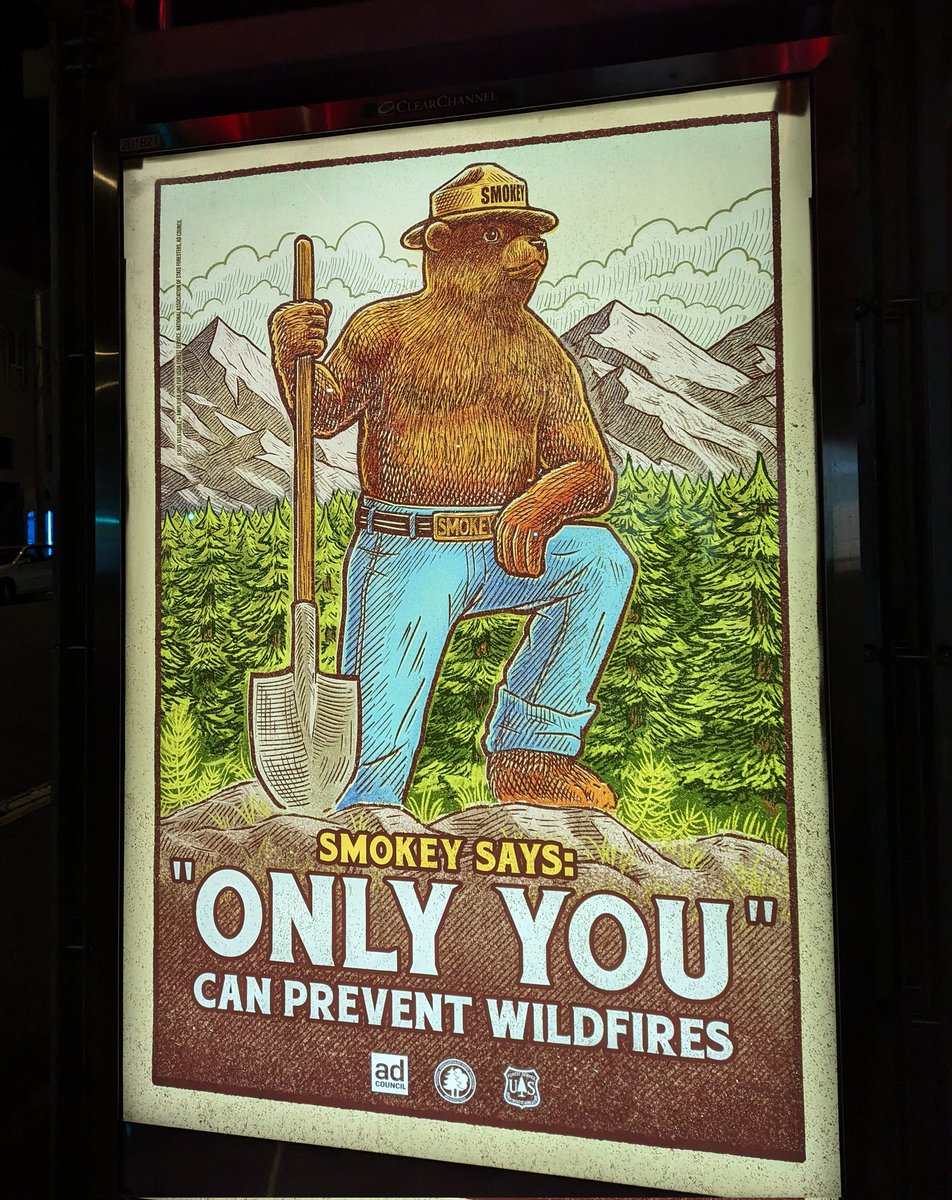 Danielle tweet media