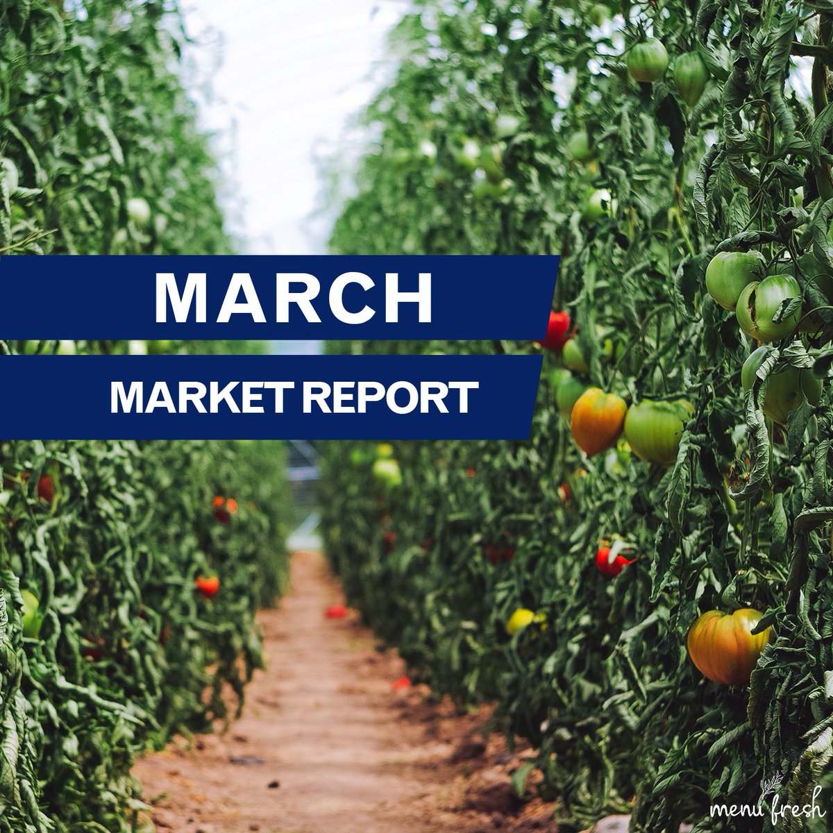 Menu_Fresh's tweet image. Build your menus knowing everything about market movements, product changes and seasonal trends.

👉 Read the weather disruptions in Europe. availability issues and national days like British Pie Week.

Read the full Market Report: menu-fresh.co.uk/blog/market-re…

#menufresh #foodservice