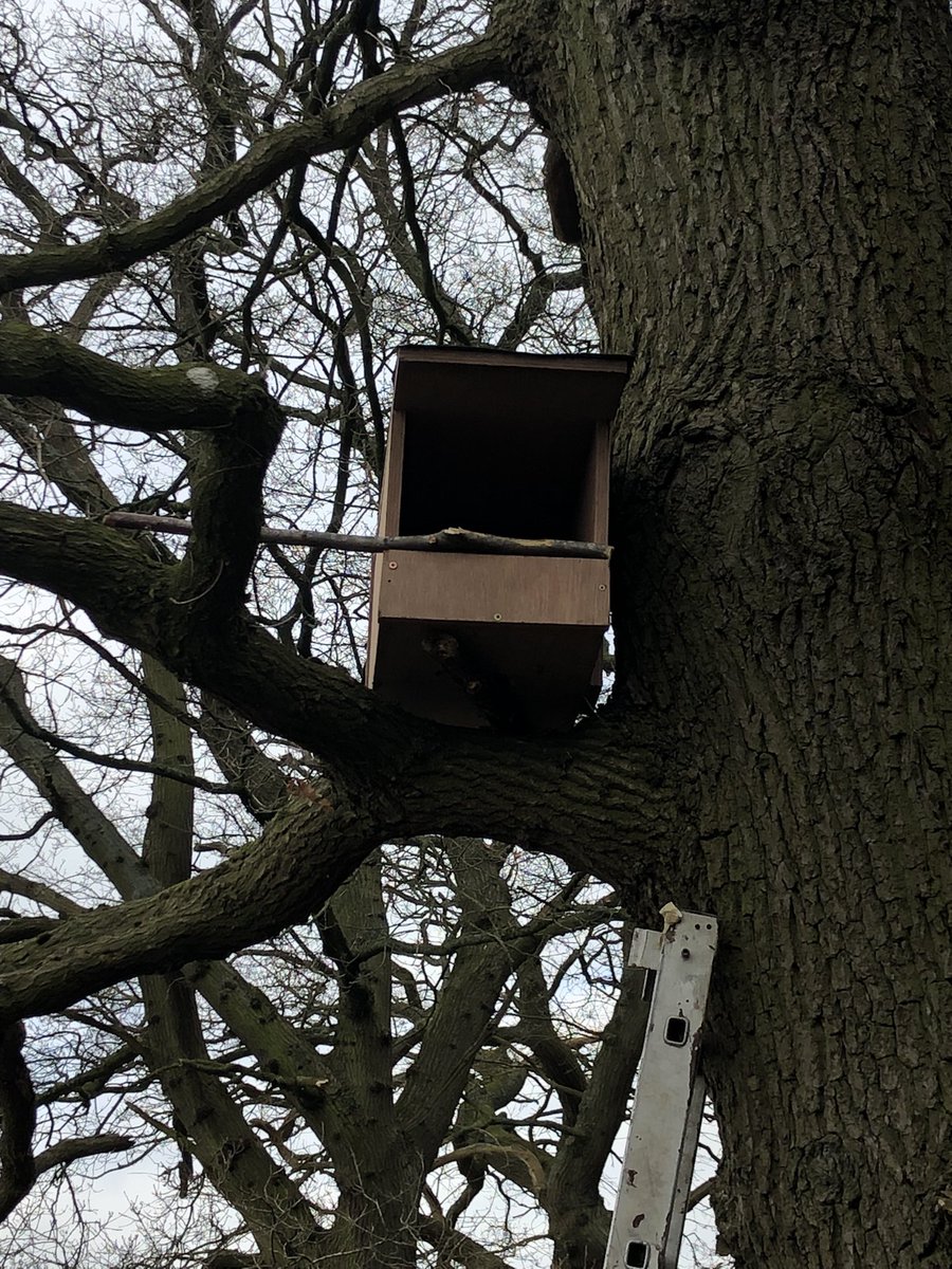 High Legh Park Greens tweet media