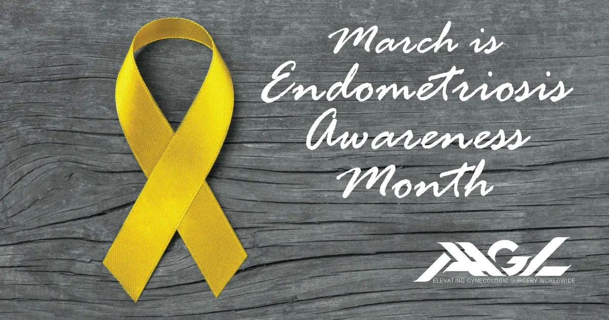 AAGL's tweet photo. Endometriosis is the 3rd leading cause of gynecologic hospitalization affecting aprox 200 million women, girls, &amp; gender diverse people. #AAGL acknowledges Endometriosis Awareness Month and all who suffer from it. Learn more https://t.co/ZHRVpoKp33  #endometriosis #MIGS @asoko… https://t.co/ANxiOFttdA