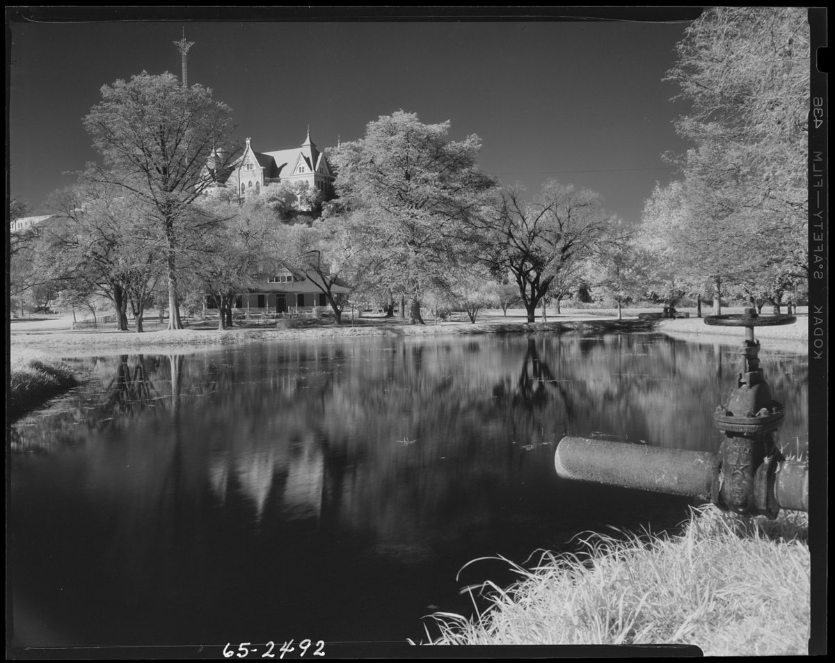 Summer 1965: President Lyndon B. Johnson ordered the 44-acre federal fish hatchery facility transferred to #txst. The land grant effectively tied the campus together and ensured its future  expansion. 
ow.ly/uarb50MEZuq
#txstUnivHistory