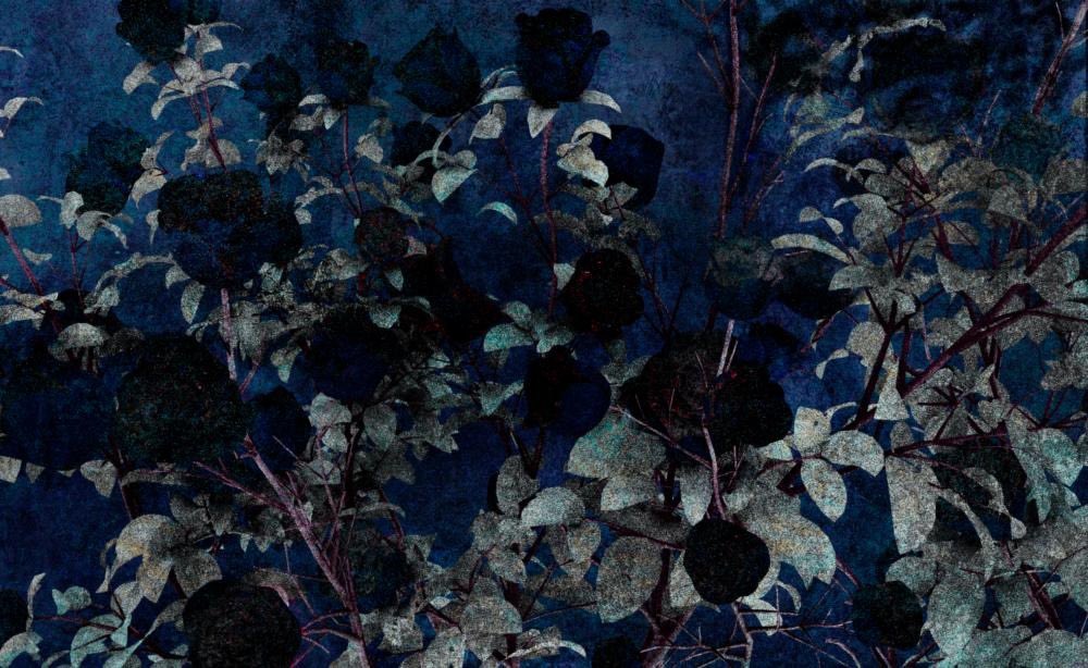 AOTMgallery's tweet photo. kissed by the Moonlight by @lphaCentauriKid is available now. 

A 24 hour auction will begin when the 35 ETH reserve is met.

To place a bid, visit: https://t.co/CJwoPg7bt6 https://t.co/GlPOQupMIO
