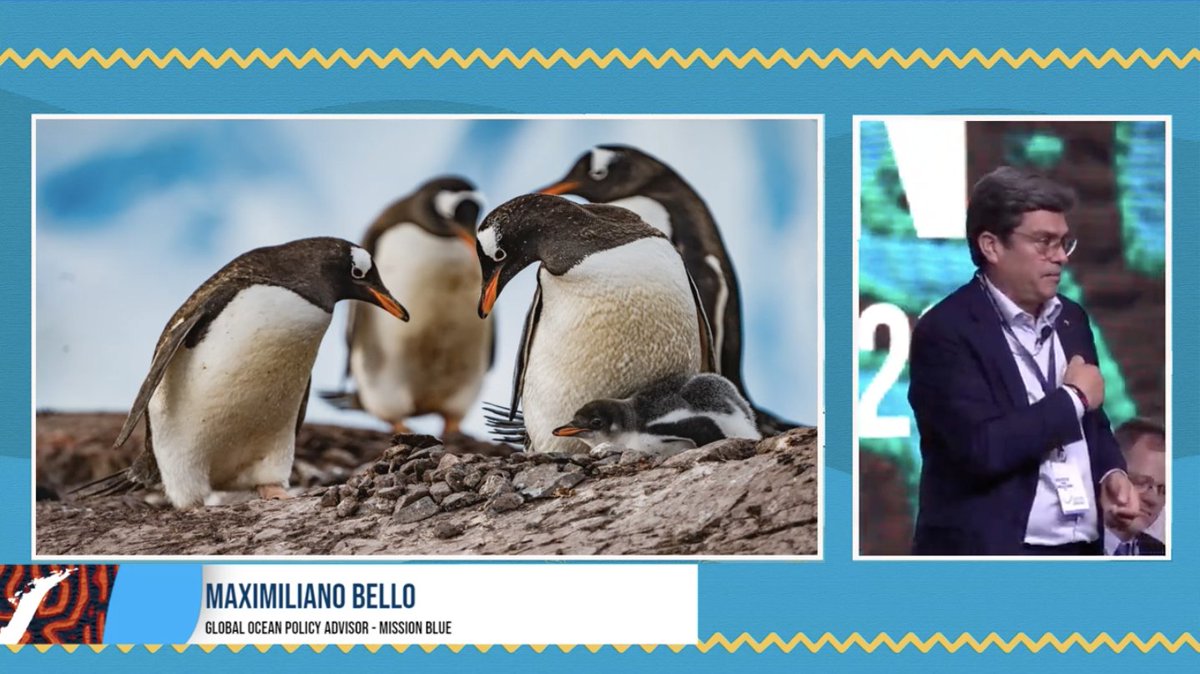 National Ocean Protection Coalition (NOPC) tweet media