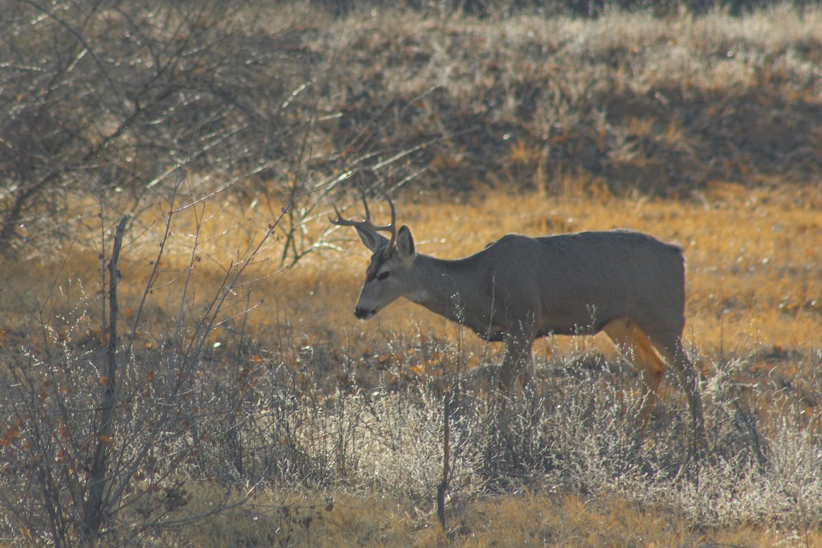 Jennifer Gonzales tweet media