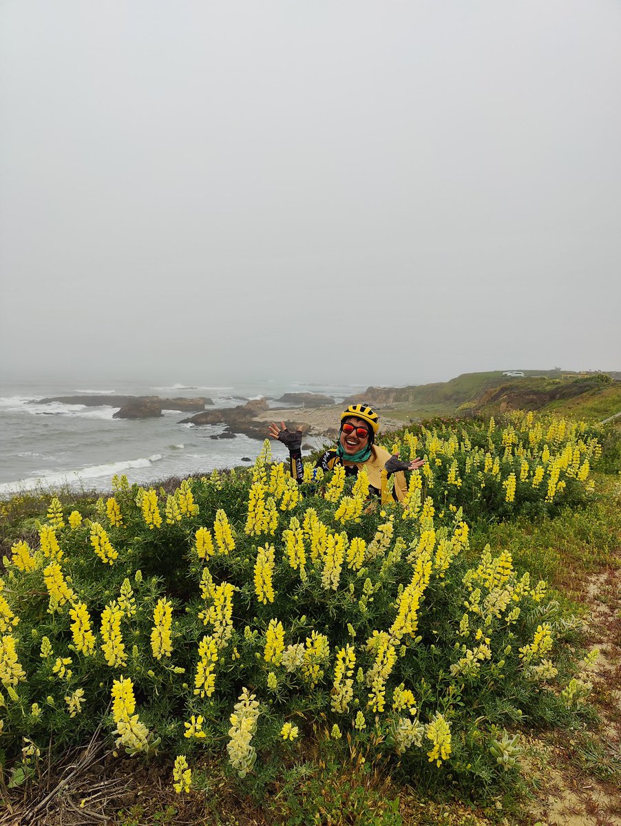 Climate Ride tweet media