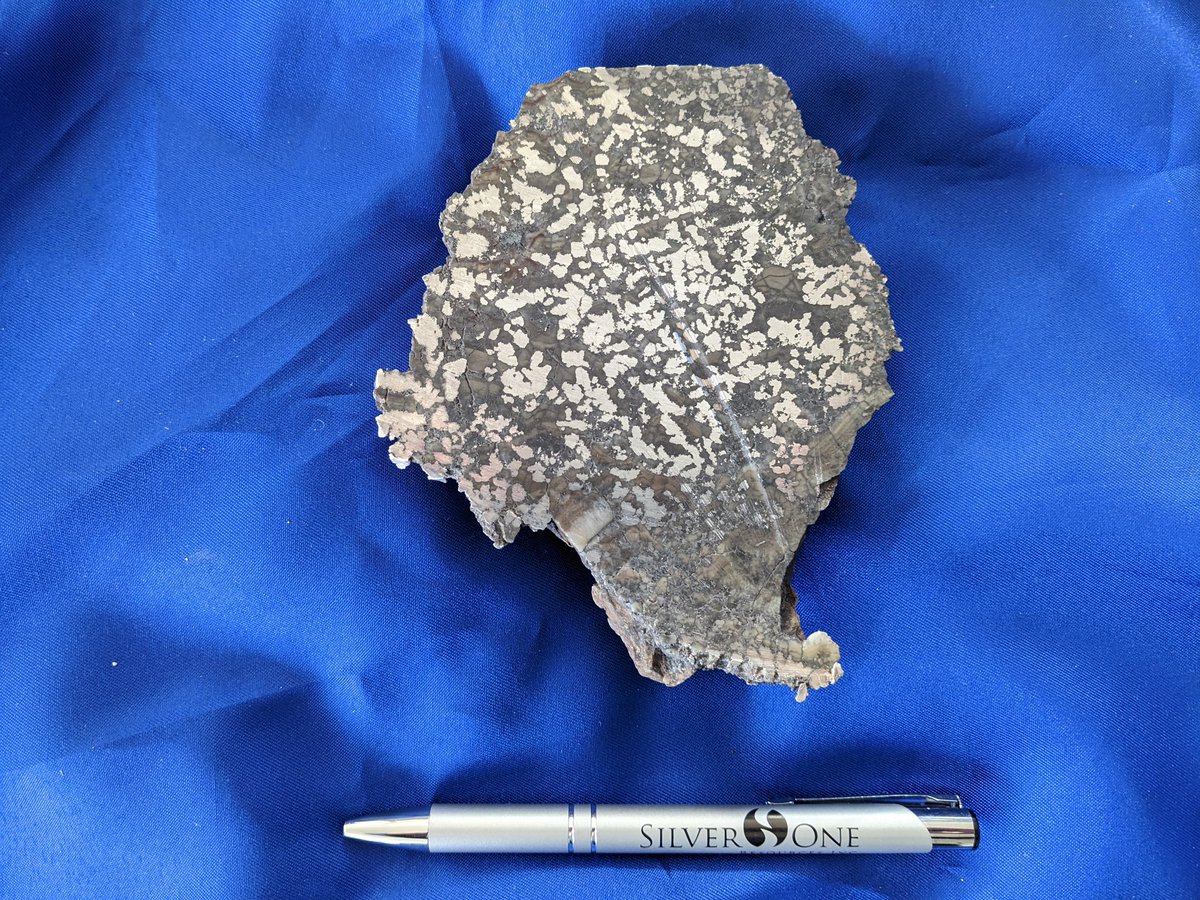 Silver One Resources tweet media