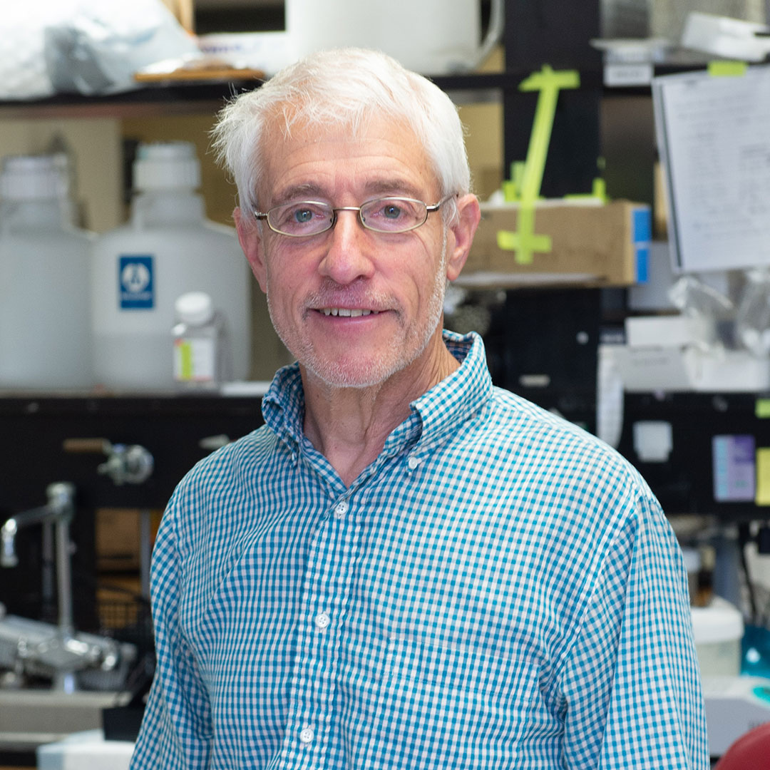 @NIDO2023 (@nidovirus2023) on Twitter photo Join us in beautiful Montreux this May for the XVIth International Nidovirus Symposium #nido2023 !!!
Professor Stanley Perlman from <a href="/UIowaMicrobio/">Department of Microbiology and Immunology</a> will give a fascinating overview on #coronavirus #SARSCoV2 #Pathogenesis
#Emergingviruses Join us in beautiful Montreux this May for the XVIth International Nidovirus Symposium #nido2023 !!!
Professor Stanley Perlman from <a href="/UIowaMicrobio/">Department of Microbiology and Immunology</a> will give a fascinating overview on #coronavirus #SARSCoV2 #Pathogenesis
#Emergingviruses