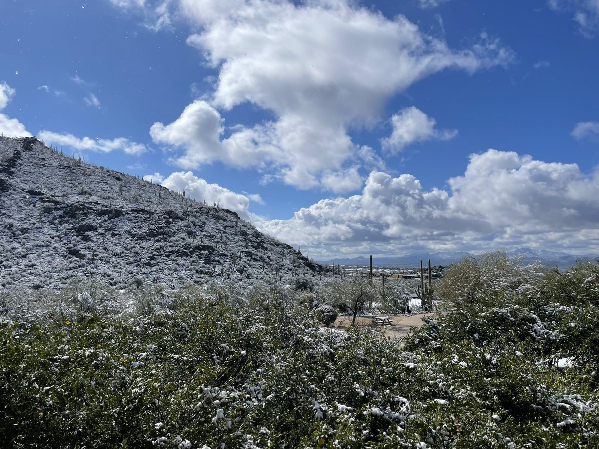 Loving this surprise dusting of snow over the desert #equitysummit