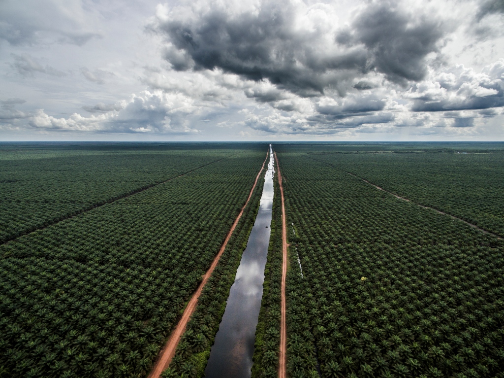 OPEN CALL: Apply to the tuition-free Visualising Climate Crisis Advanced Mentoring Programme in Vietnam by the NOOR foundation, open to nationals of Vietnam, Thailand, Cambodia and Laos.⁠ noorimages.com/newsroom/2023/…