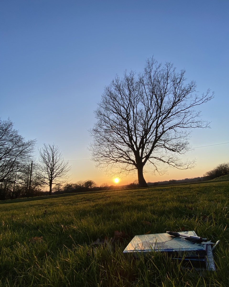 Annual leave is for pedro pascal memes and this