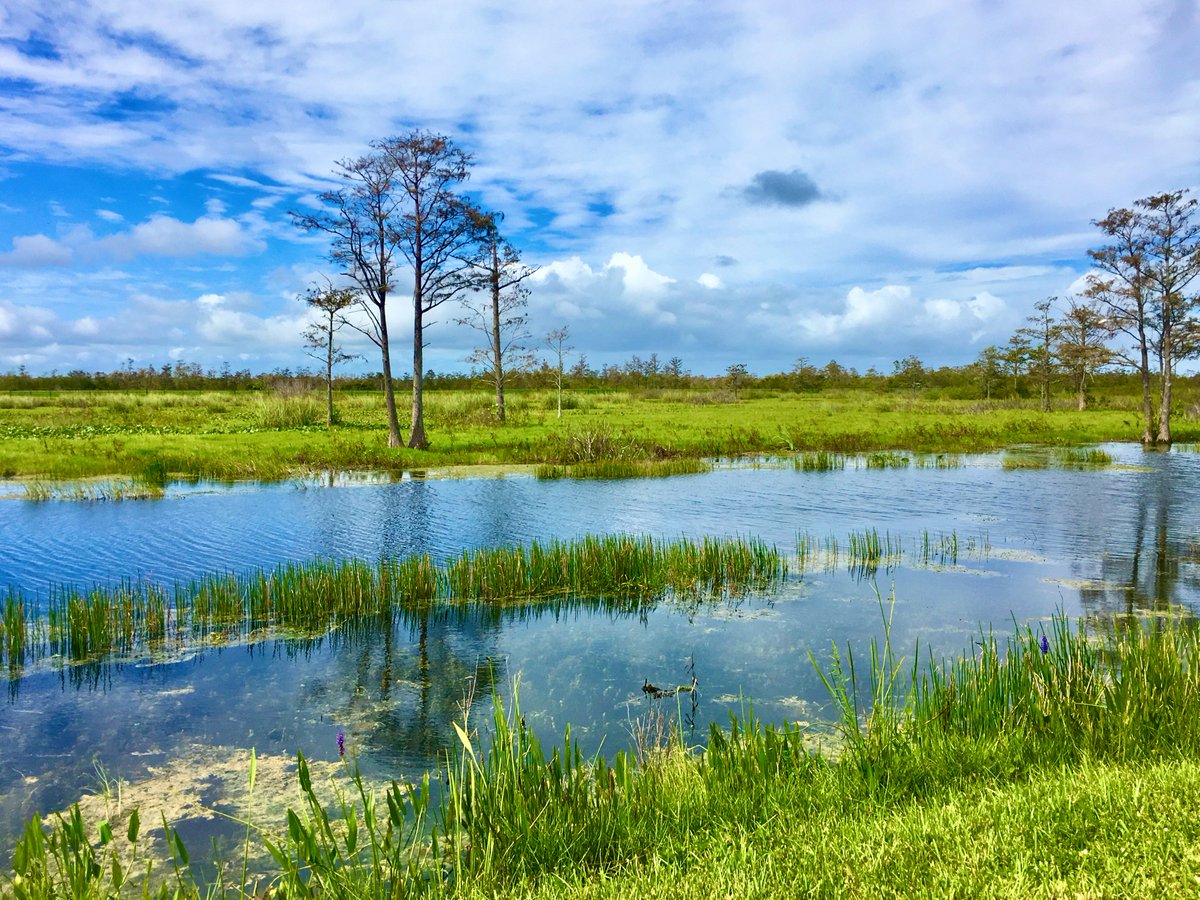 A new federal rule that goes into effect this month, restoring protections to many of our nation's wetlands and waterways, is already being threatened by Congress. Learn more: hubs.la/Q01DFQRv0