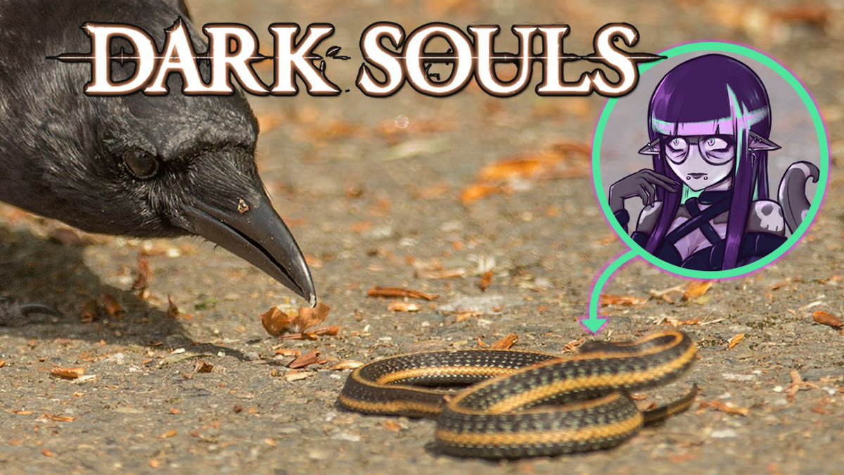 It's that time again, going live with some Dark Souls shortly! This time we're going into the Depths~

➡️ youtube.com/watch?v=iURZ6y… ⬅️

#Vtuber #ENVtubers #PNGtubers