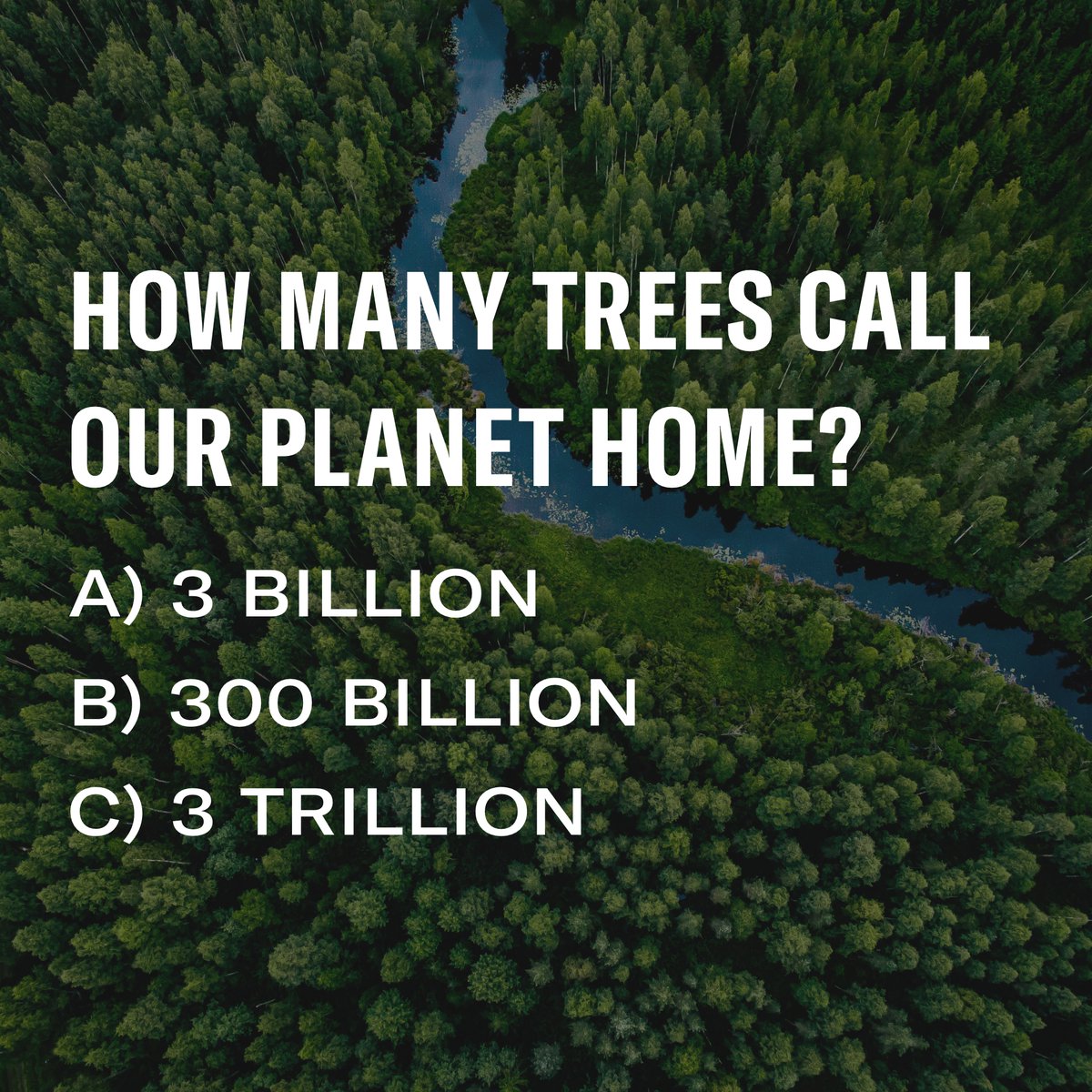 Hammermill's tweet image. The working forests we source from produce even more trees than they harvest — it&apos;s how there are even more trees in the US now than in 1970.🌳

And now, let&apos;s test your #treevia knowledge: How many trees currently call our planet home? 🌎

#forests #sustainability #paper