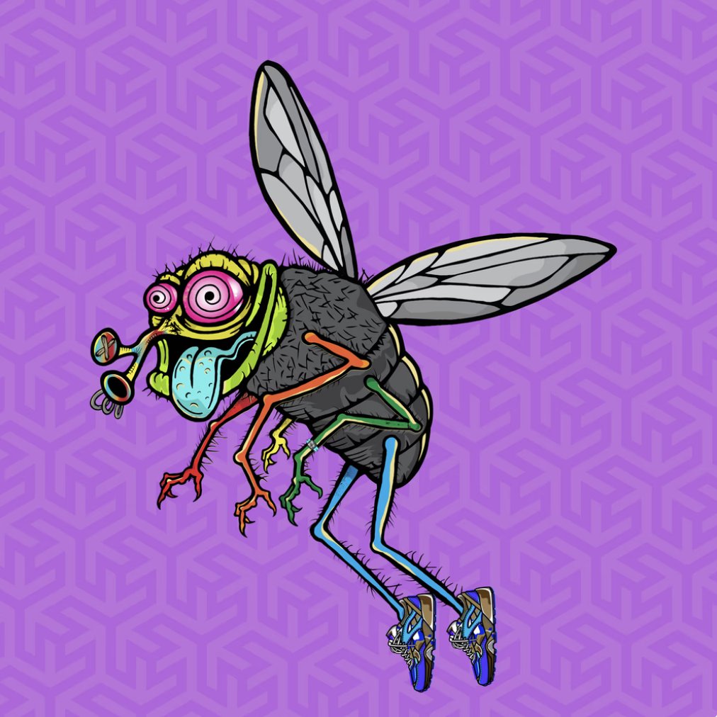 Funky Flies tweet media
