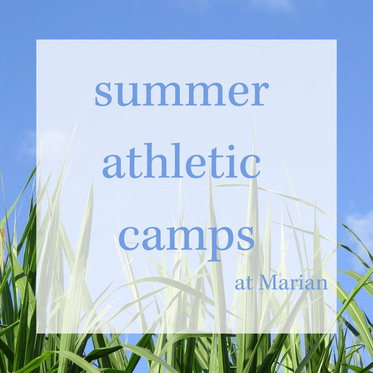 🚨🥎Marian Youth Summer Camps are OPEN for registration!🥎🚨
🥎Softball Camp🥎
💙June 12-13
💙9am-Noon
💙Grades 3-8
Join our 🏆STATE CHAMPS 🏆for some Summer Fun! 😎