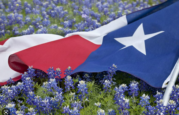 Cordyne's tweet photo. Happy Texas Independence Day Ya'll! #independenceday #lonestarstate #htown #texas #rodeohouston #celebrating #usa #sucess https://t.co/uYkEaXAWeJ